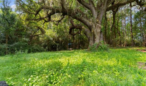 Photo #2 of 6518 Fraser St., Georgetown, SC 24.8 acres