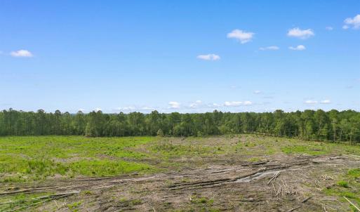Photo #12 of 155.81 Acres - Roper Woods Rd., Lake City, SC 155.8 acres