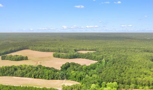 Photo #27 of 155.81 Acres - Roper Woods Rd., Lake City, SC 155.8 acres