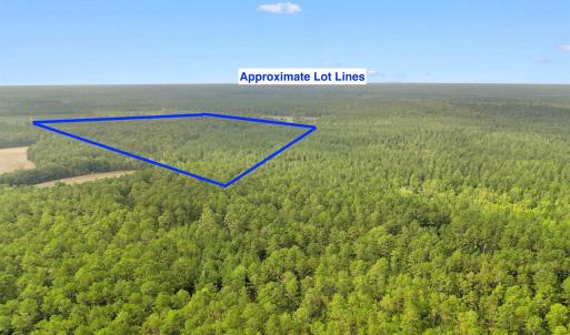 Photo #20 of 155.81 Acres - Roper Woods Rd., Lake City, SC 155.8 acres