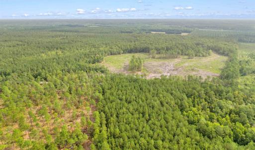 Photo #23 of 155.81 Acres - Roper Woods Rd., Lake City, SC 155.8 acres