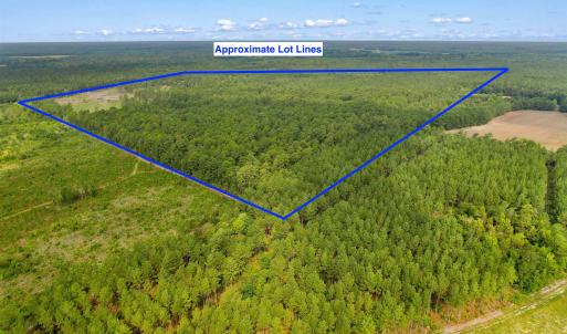 Photo #26 of 155.81 Acres - Roper Woods Rd., Lake City, SC 155.8 acres