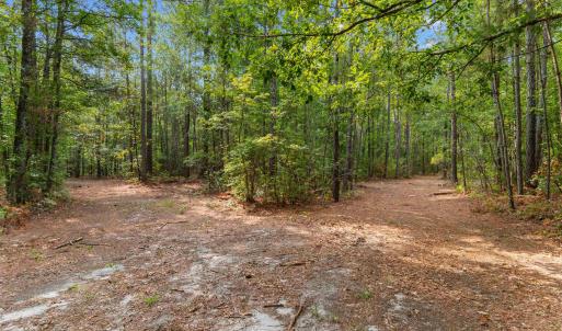 Photo #9 of 155.81 Acres - Roper Woods Rd., Lake City, SC 155.8 acres