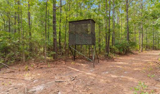 Photo #1 of 155.81 Acres - Roper Woods Rd., Lake City, SC 155.8 acres