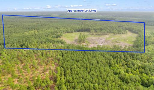 Photo #24 of 155.81 Acres - Roper Woods Rd., Lake City, SC 155.8 acres