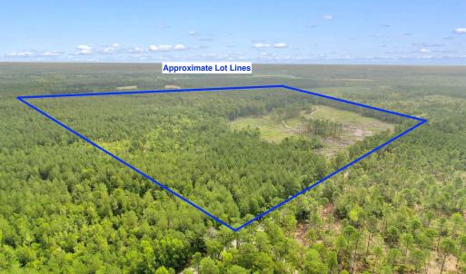 Photo #18 of 155.81 Acres - Roper Woods Rd., Lake City, SC 155.8 acres