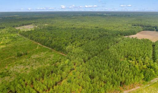 Photo #25 of 155.81 Acres - Roper Woods Rd., Lake City, SC 155.8 acres