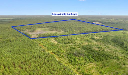 Photo #16 of 155.81 Acres - Roper Woods Rd., Lake City, SC 155.8 acres