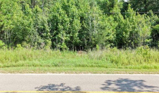 Photo #2 of TBD Right Hand Ct, Georgetown, SC 2.7 acres