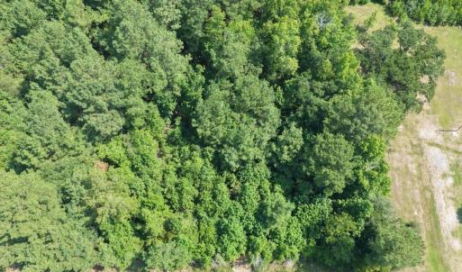 Photo #4 of TBD Right Hand Ct, Georgetown, SC 2.7 acres