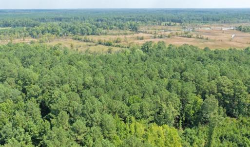 Photo #6 of TBD Right Hand Ct, Georgetown, SC 2.7 acres