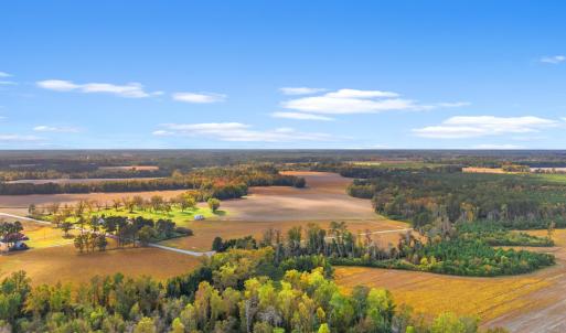 Photo #6 of S-17-22 Arnette Rd., Dillon, SC 287.0 acres