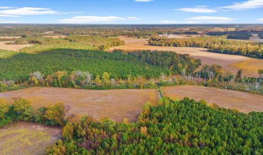 Photo #19 of S-17-22 Arnette Rd., Dillon, SC 287.0 acres