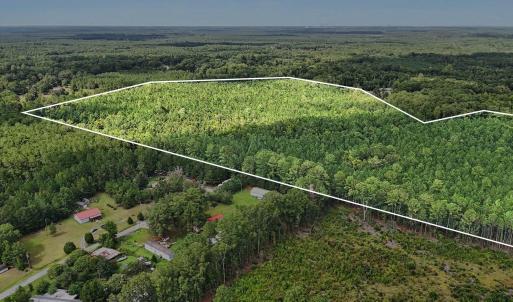 Photo #14 of TBD Rustwood Dr., Georgetown, SC 44.5 acres