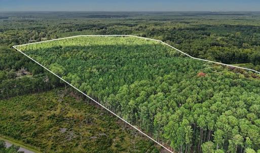 Photo #12 of TBD Rustwood Dr., Georgetown, SC 44.5 acres