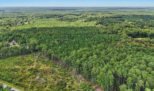 Photo #11 of TBD Rustwood Dr., Georgetown, SC 44.5 acres