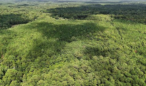 Photo #6 of TBD Rustwood Dr., Georgetown, SC 44.5 acres