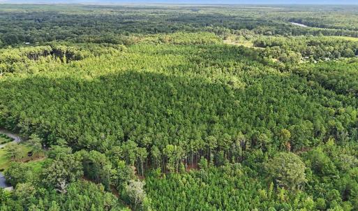 Photo #2 of TBD Rustwood Dr., Georgetown, SC 44.5 acres