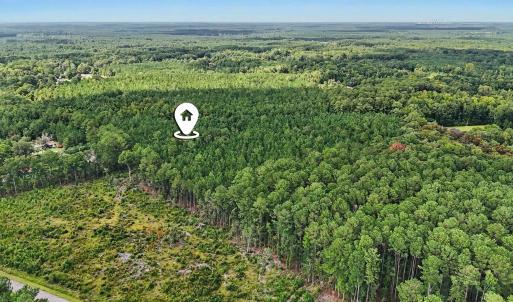 Photo #13 of TBD Rustwood Dr., Georgetown, SC 44.5 acres