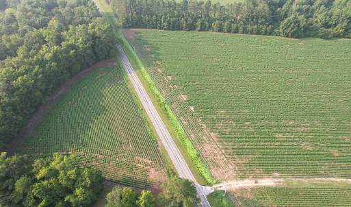 Photo #8 of 81.30 Acres - Blackberry Rd., Johnsonville, SC 81.3 acres