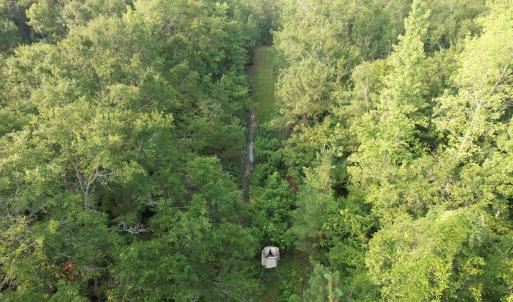 Photo #14 of 81.30 Acres - Blackberry Rd., Johnsonville, SC 81.3 acres