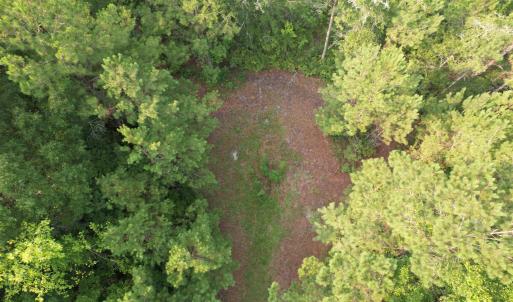 Photo #15 of 81.30 Acres - Blackberry Rd., Johnsonville, SC 81.3 acres