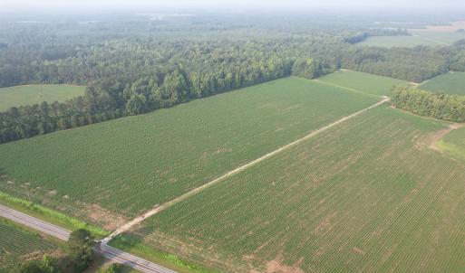 Photo #7 of 81.30 Acres - Blackberry Rd., Johnsonville, SC 81.3 acres
