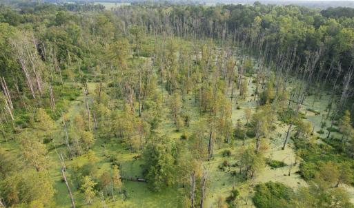 Photo #14 of 85± Acres - Antler Dr, Johnsonville, SC 85.0 acres
