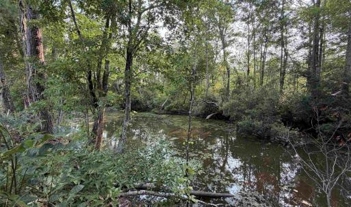Photo #20 of 85± Acres - Antler Dr, Johnsonville, SC 85.0 acres