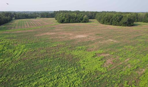 Photo #6 of 85± Acres - Antler Dr, Johnsonville, SC 85.0 acres