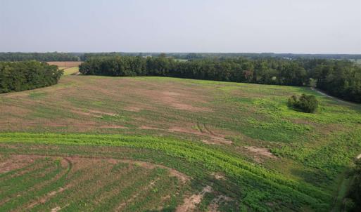 Photo #1 of 85± Acres - Antler Dr, Johnsonville, SC 85.0 acres