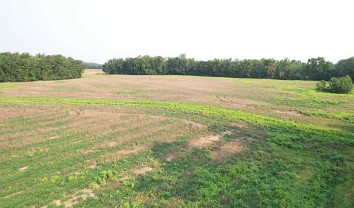 Photo #16 of 85± Acres - Antler Dr, Johnsonville, SC 85.0 acres