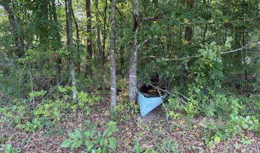Photo #17 of 85± Acres - Antler Dr, Johnsonville, SC 85.0 acres