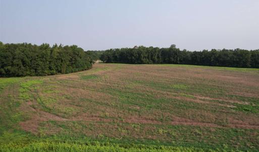 Photo #10 of 85± Acres - Antler Dr, Johnsonville, SC 85.0 acres