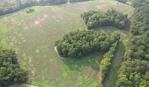 Photo #7 of 85± Acres - Antler Dr, Johnsonville, SC 85.0 acres