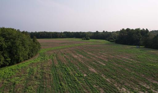 Photo #9 of 85± Acres - Antler Dr, Johnsonville, SC 85.0 acres