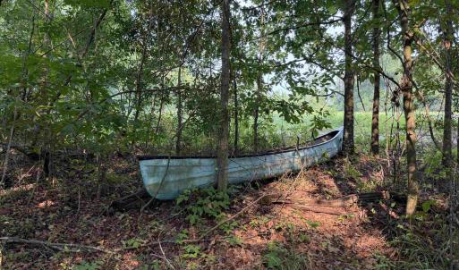 Photo #19 of 85± Acres - Antler Dr, Johnsonville, SC 85.0 acres