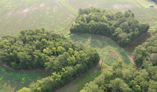 Photo #8 of 85± Acres - Antler Dr, Johnsonville, SC 85.0 acres
