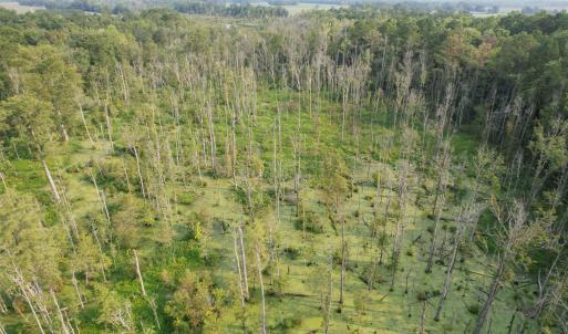 Photo #13 of 85± Acres - Antler Dr, Johnsonville, SC 85.0 acres