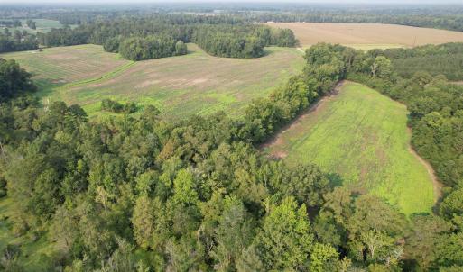 Photo #4 of 85± Acres - Antler Dr, Johnsonville, SC 85.0 acres