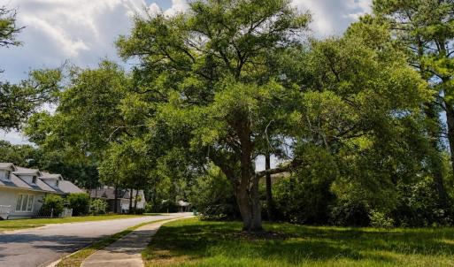 Photo #2 of 2638 Seaport Circle, Georgetown, SC 0.2 acres