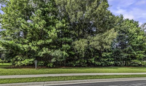 Photo #2 of 155 Low Country Loop, Murrells Inlet, SC 0.5 acres
