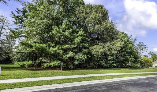 Photo #1 of 155 Low Country Loop, Murrells Inlet, SC 0.5 acres