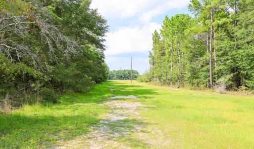 Photo #10 of TBD McNabb Shortcut Rd., Loris, SC 14.0 acres