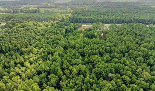 Photo #2 of TBD Fraser St., Georgetown, SC 8.9 acres