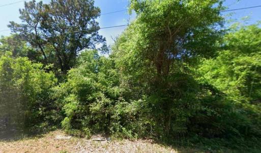 Photo #4 of 615 Parkersville Rd., Pawleys Island, SC 2.4 acres