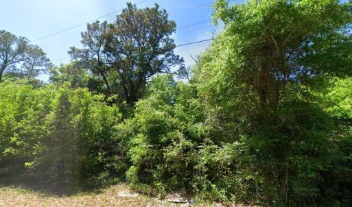 Photo #5 of 615 Parkersville Rd., Pawleys Island, SC 2.4 acres