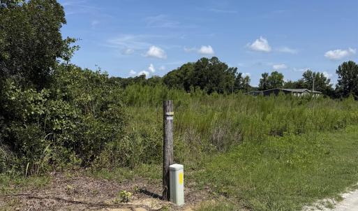 Photo #11 of 183 Dove Rd., Loris, SC 12.1 acres
