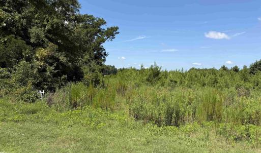 Photo #8 of 183 Dove Rd., Loris, SC 12.1 acres