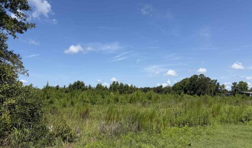 Photo #9 of 183 Dove Rd., Loris, SC 12.1 acres